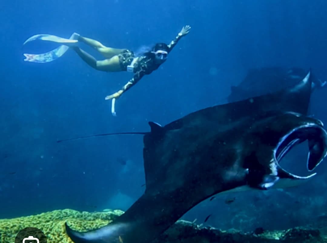 Snorkeling with Manta Ray's — day trip from Bali to Nusa Penida